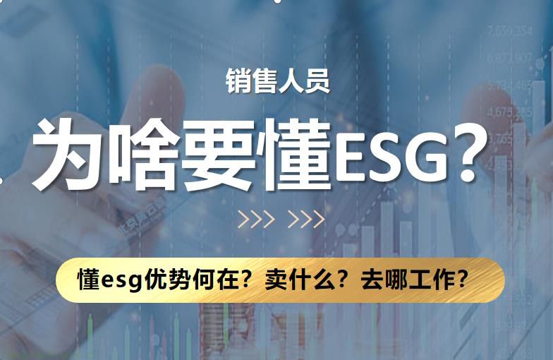 懂 ESG 的销售人员优势何在？卖什么？去哪工作？