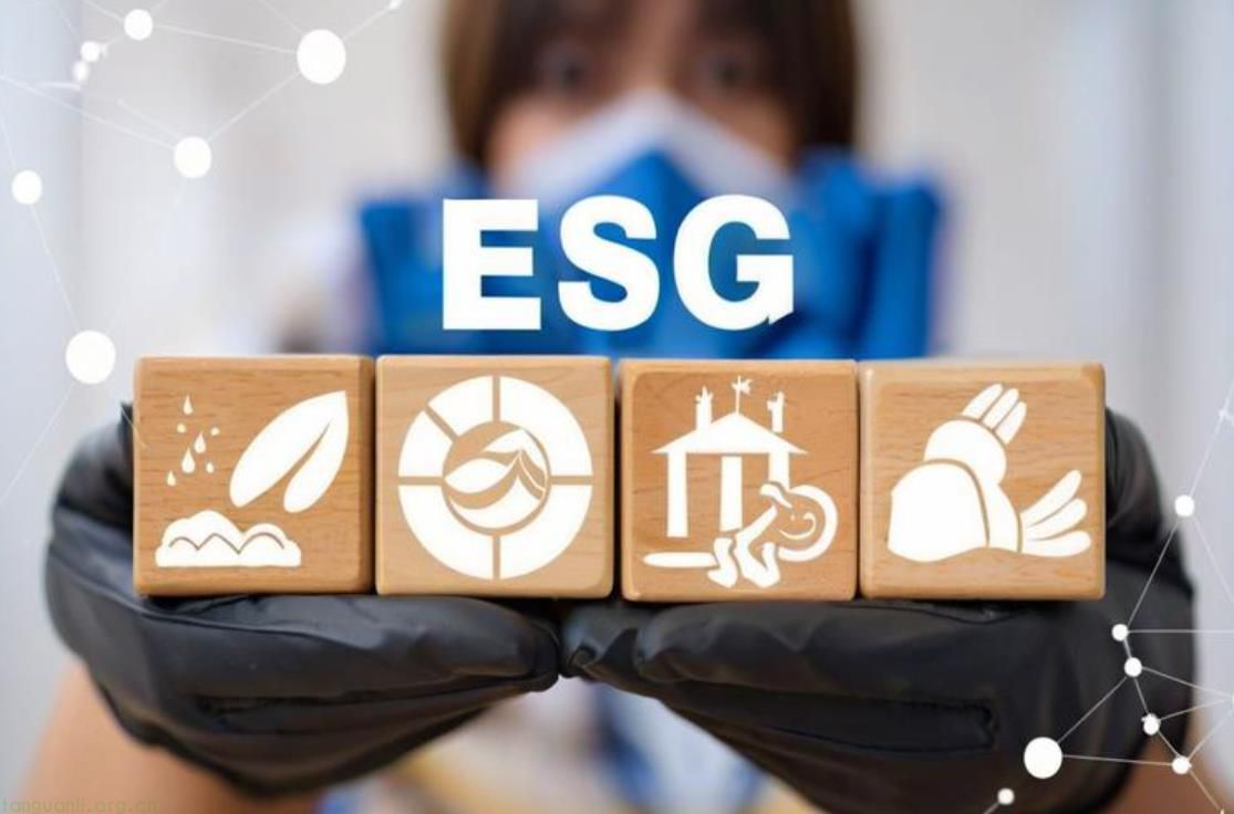 大学生为什么都在扎堆往 ESG 领域涌？