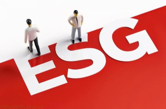 社会维度下 ESG 审计：员工福利与权益保障的重点审查内容解析