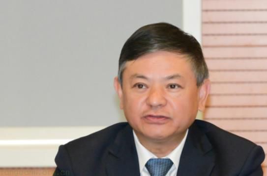 深化国际合作！生态环境部以产业链优势赋能全球绿色发展