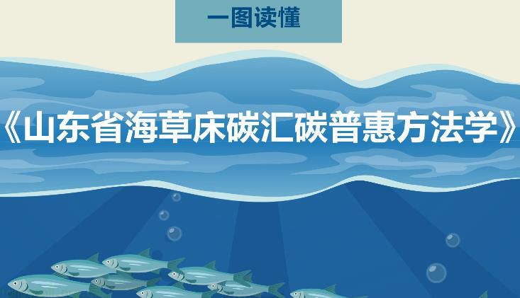 图解《山东省海草床碳汇碳普惠方法学》