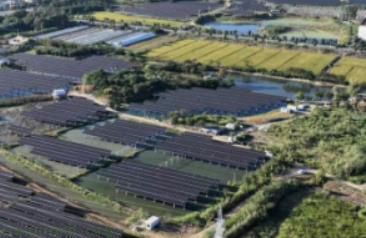 青翠茶园下藏 “电能”：丹阳屯甸村 750 亩 “茶光互补” 项目年底并网