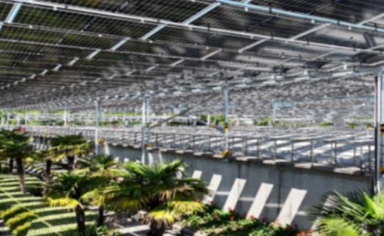 污水厂变 “能源厂”！苏州这家污水厂屋顶光伏年减碳 3486 吨