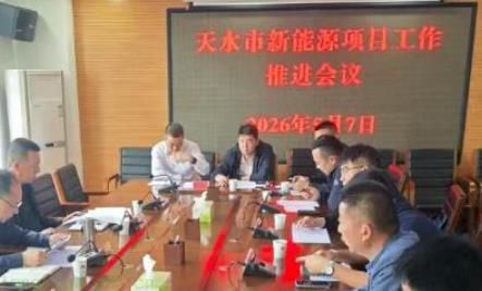 甘肃天水市部署推进新能源项目 提速提质落地见效