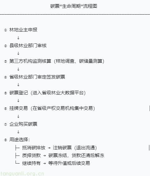 碳票.jpg