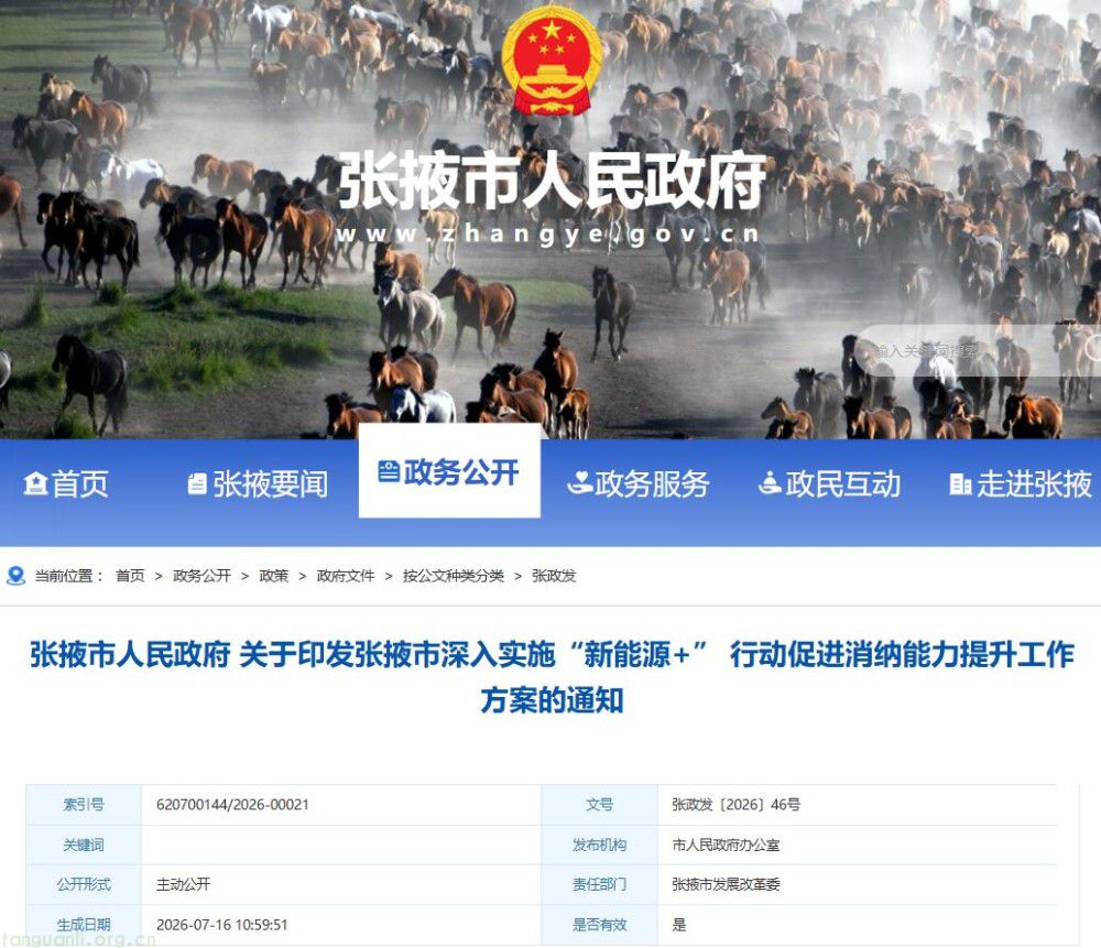绿电、绿氢、算电协同发力!甘肃张掖构建新能源多元消纳体系(图1)